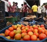 Farmer turns crorepathi by selling tomatoes