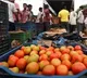 Farmer turns crorepathi by selling tomatoes