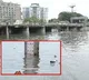 Heavy Flood Water Reaching Hussain Sagar In Hyderabad
