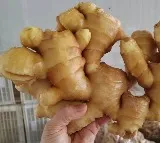 KG ginger Rs 400 in Karnataka