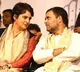 Cong's MP plan: Priyanka to focus on cities, Rahul on Dalits, Adivasis