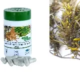 CMFRI develops antiviral product from seaweeds against delta variant of Covid