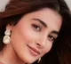 Pooja Hegde in Gopichand Malineni Movie