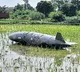 Indian airforce Pilot dumps fuel tank in agricultural field in uttarpradesh