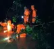 TOURISTS TRAPPED IN MUTYANDARA FALLS ARE SAFE
