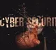 Parliamentary panel suggests formation of regulatory body on cyber security
