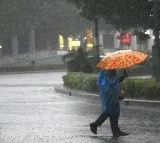 Ten districts of Telangana are on red alert for heavy rains today