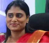 Sharmila fires at KCR government over rains and floods