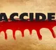 6 Amarnath returnees killed as buses collide on Buldhana highway