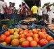 Record price for tomatoes in madanapalle market