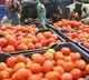 Tomato price touches Rs 200/kg in TN as rain hits crop in K'taka, Andhra