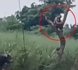 Akhilesh Yadav demands Bull Force In UP
