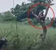 Akhilesh Yadav demands Bull Force In UP