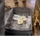 47 snakes and 2 lizards seized from passenger at Trichy airport