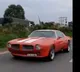 Dhoni spotted driving Pontiac Car in Ranchi