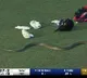 Rat Snake enters into stadium while match was going