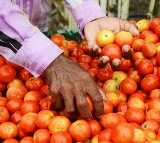 Odisha Man fleds with Tomatoes Without Paying after leaves children at shop