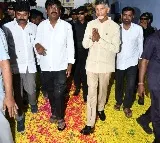 Gran welcome to Chandrababu Naidu in YS Jagan village