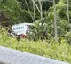 6 Indians Onboard Bus That Fell Down Ravine In Mexico 17 Killed