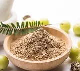 Health benefits of drinking amla powder in warm water