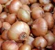 Onion prices might touch Rs 60 to 70 per kg by month end