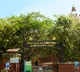Madras High Court says no one can prevent widows from entering the temple