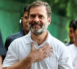 Post SC order on Rahul, BJP plans campaign against his statements