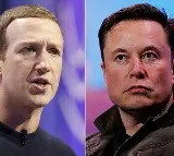 Zuckerberg Responds On Elon Musk X On Cage Fight