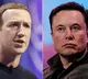 Zuckerberg Responds On Elon Musk X On Cage Fight