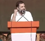 Rahul Gandhi language is not good says Harish Salve