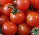 Tomato Price In Hyderabad Coming Down