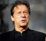 Flies and bugs in Imran Khans jail room