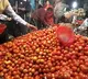 tomato prices have gone down in madanapalle market