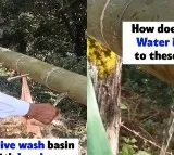 Nagaland Minister Shares Video Of Bamboo Washbasin Netizens Hail Ecofriendly Innovation