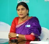 sharmila willl meet rahul gandhi in delhi