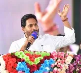 cm ys jagan release ysr sunna vaddi scheme funds amalapuram