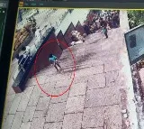 six year old kid dies in leopard attack in Tirumala alipiri