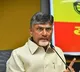 chandrababu responded death of a six year old girl in a leopard attack in tirumala