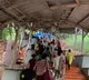 No permission to children aged below 15 years in Tirumala foot ways