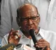 NCP not joining BJP: Sharad Pawar