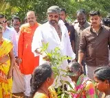 Mohan Babu done plantation in his university