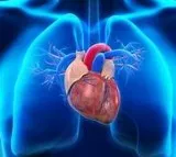 AP Government special focus on heart treatment