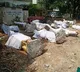 idols of leaders next to toilets in Nandigama