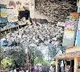 Govt School building wall collapsed in Husenapuram village of Nandyala district