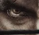 Tiger Nageshwara Rao Movie Teaser Released