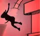 Woman dies after falling from flyover in Hyderabad
