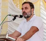 Rahul Gandhi will contest in Amethi again as per party sources