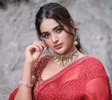 Nidhi Aggarwal to romance with Prabhas