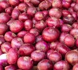 Center hikes export duty on Onions to tackle high price