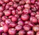 Center hikes export duty on Onions to tackle high price